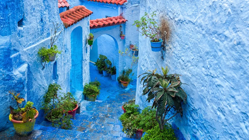 Chefchaouen vicoli con piante